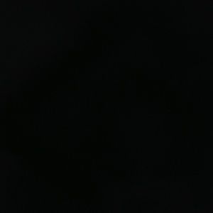 Meet your Posher, Waynette